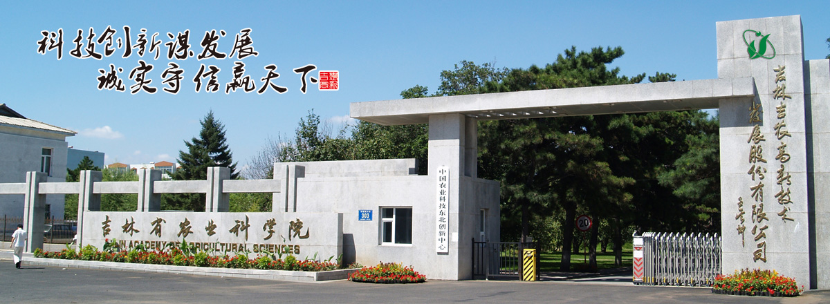 全自動(dòng)輪對(duì)壓裝機(jī)